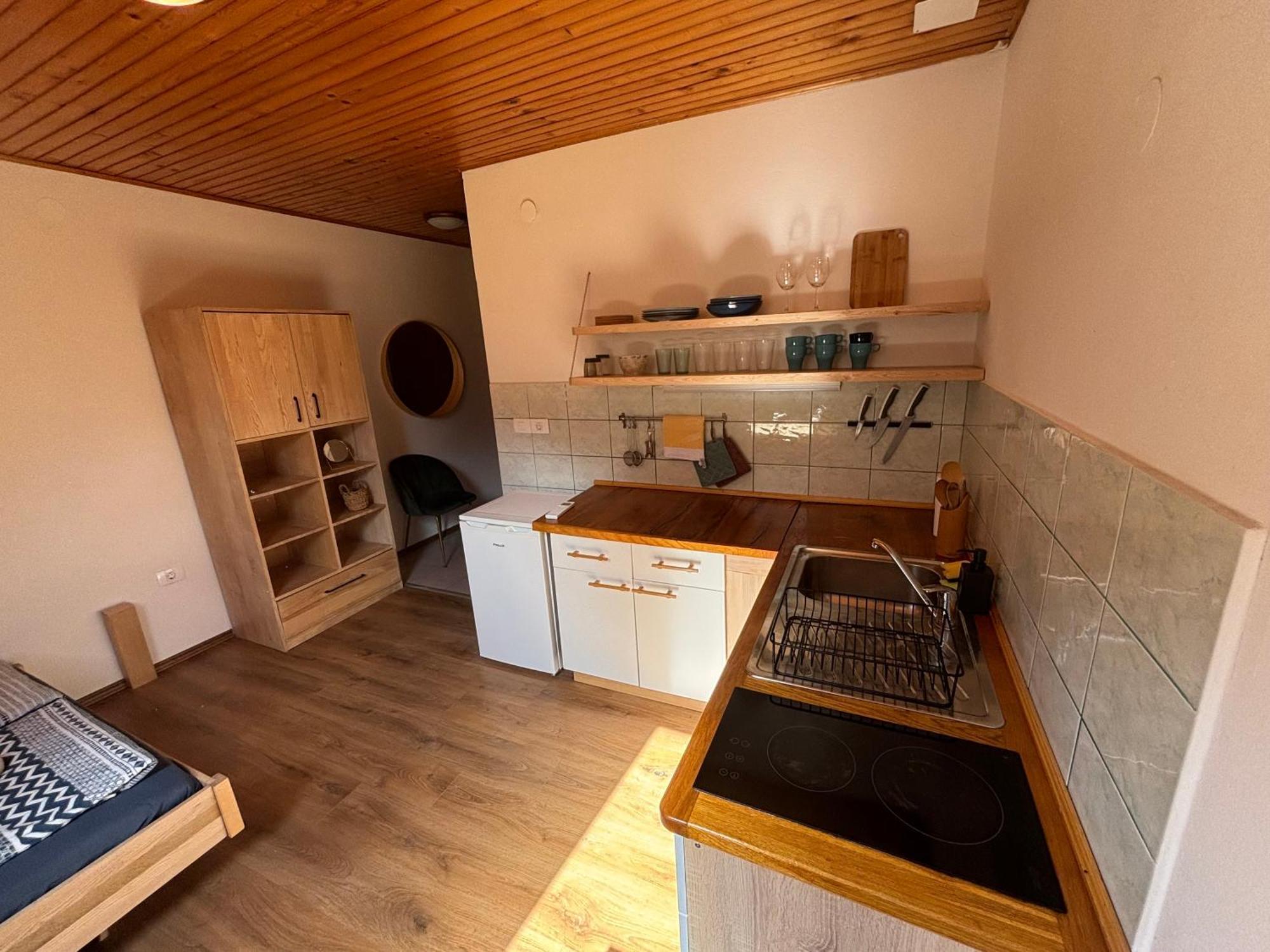 Apartamento Hisa Patricija Soča Exterior foto